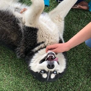 Meet your Posher, Gina